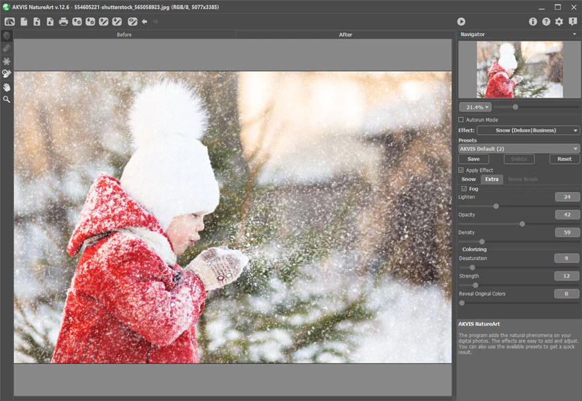 Эффект Snow в AKVIS NatureArt с настройками снегопада