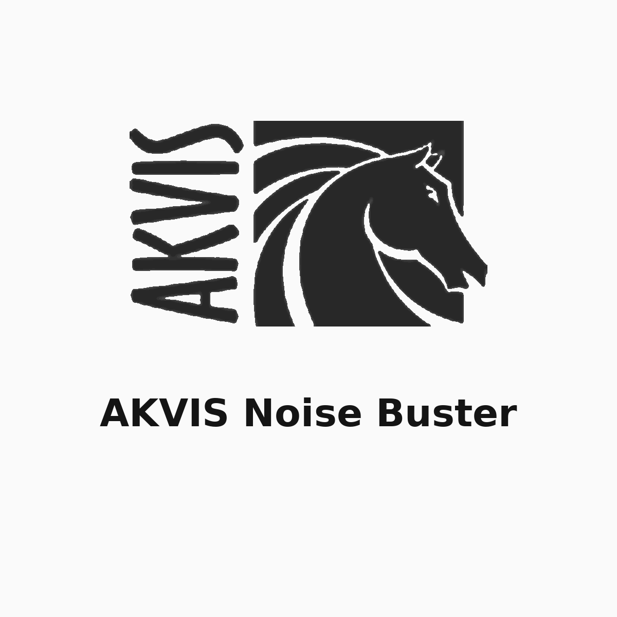 AKVIS Noise Buster