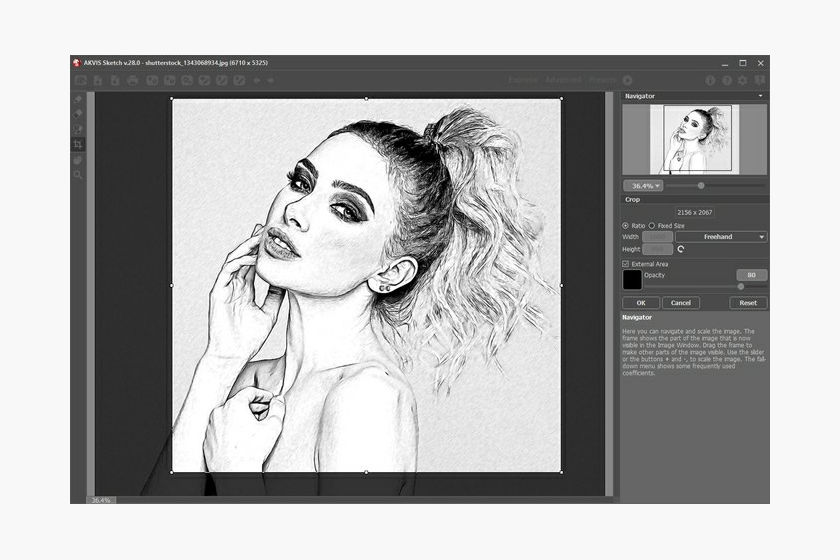 AKVIS Sketch: панель инструментов и рассчитанный рисунок