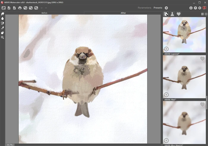 Галерея пресетов AKVIS Watercolor рядом с обработанным изображением