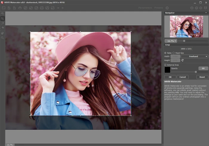 Инструмент Crop в AKVIS Watercolor с рамкой кадрирования