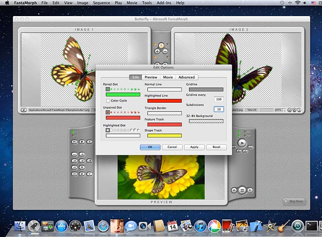 Окно Edit Options в Abrosoft FantaMorph