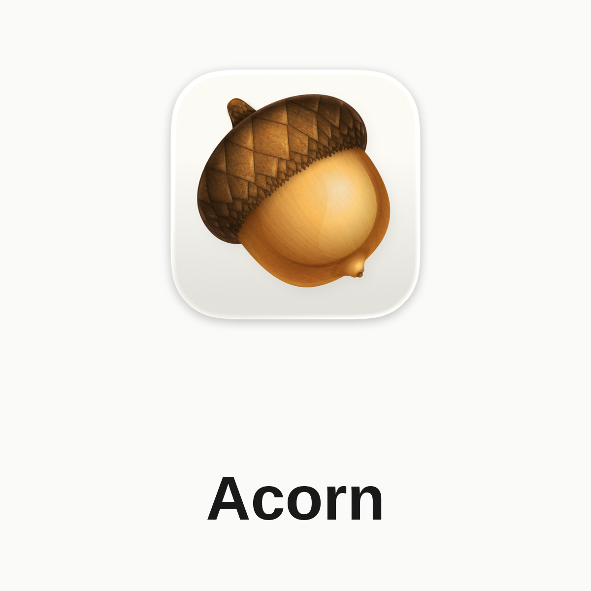 Acorn