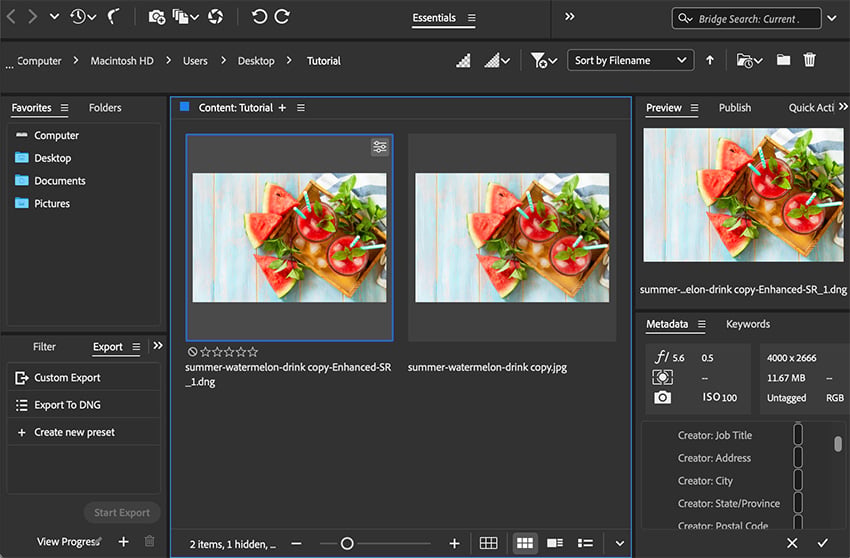 Панель Export в Adobe Bridge рядом с Preview и Metadata