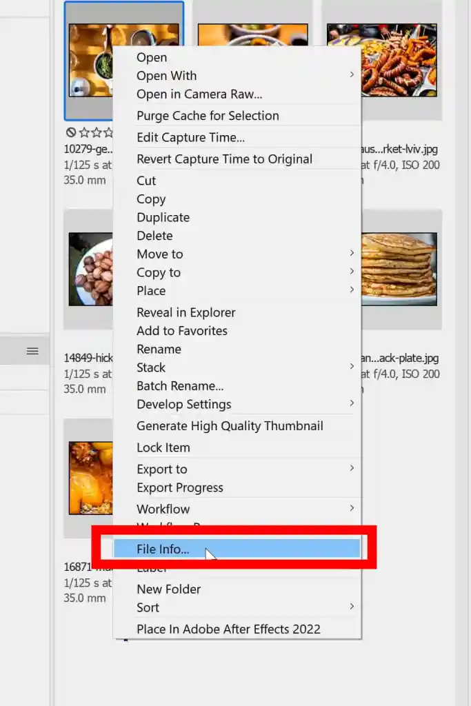 Контекстное меню Adobe Bridge с командой File Info