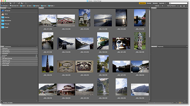 Импортированные фотографии в панели Content Adobe Bridge
