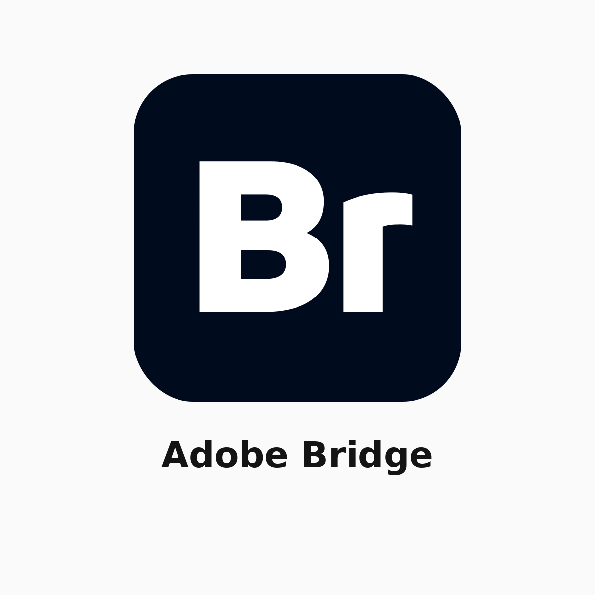 Adobe Bridge