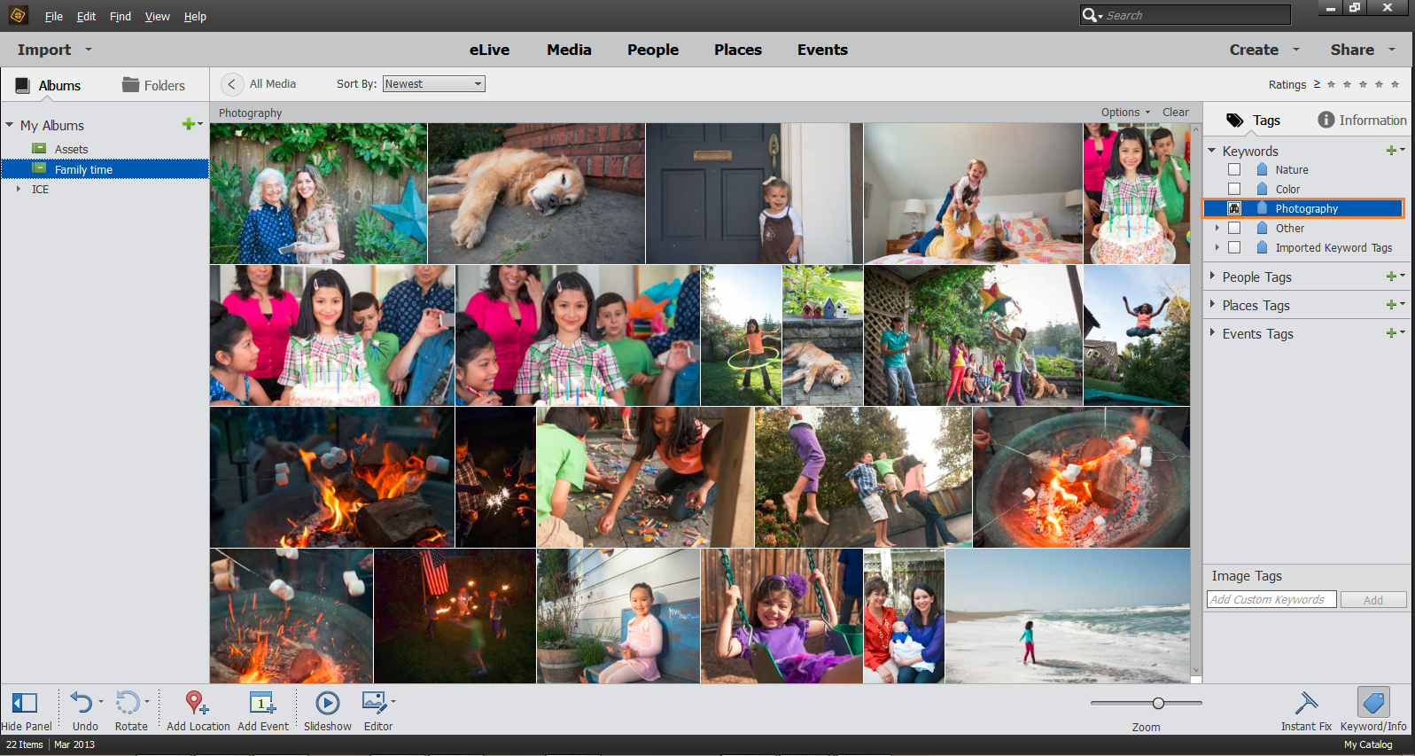 Media view и панель тегов Adobe Elements Organizer