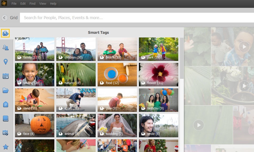 Smart Tags в Adobe Elements Organizer