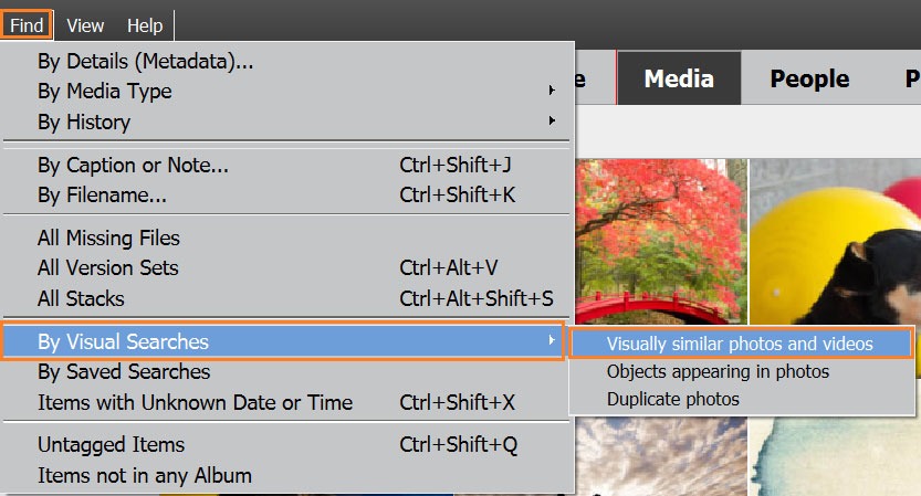 Меню визуального поиска Adobe Elements Organizer