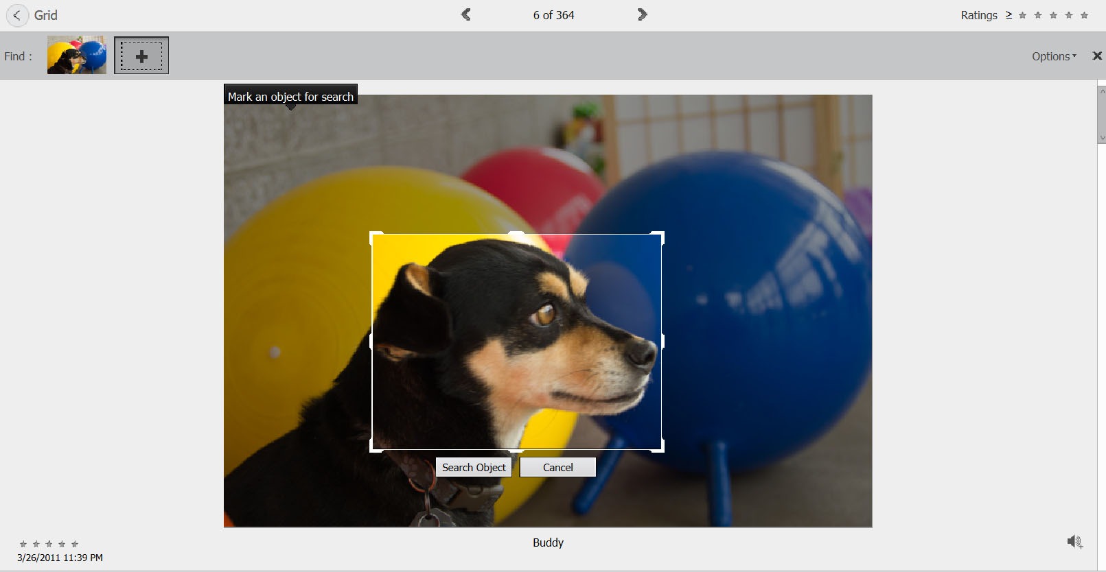 Выделение объекта для визуального поиска Adobe Elements Organizer