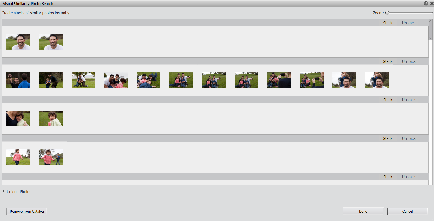 Результаты поиска визуально похожих фотографий Adobe Elements Organizer