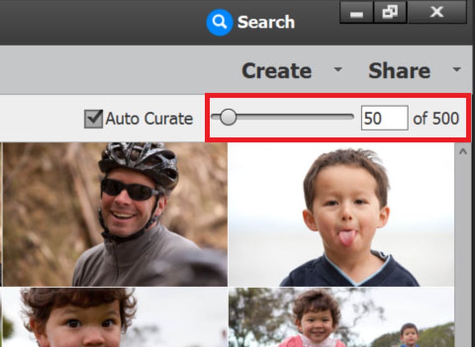 Ползунок количества фотографий Auto Curate в Adobe Elements Organizer
