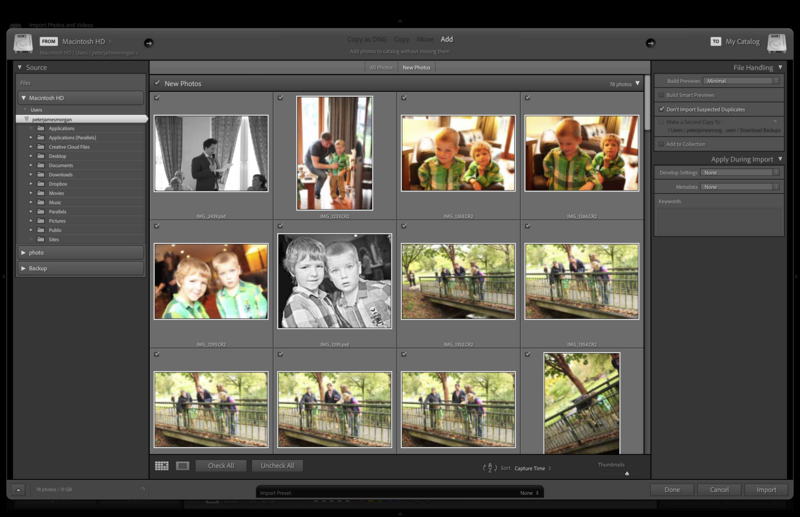 Диалог Import в Adobe Lightroom Classic