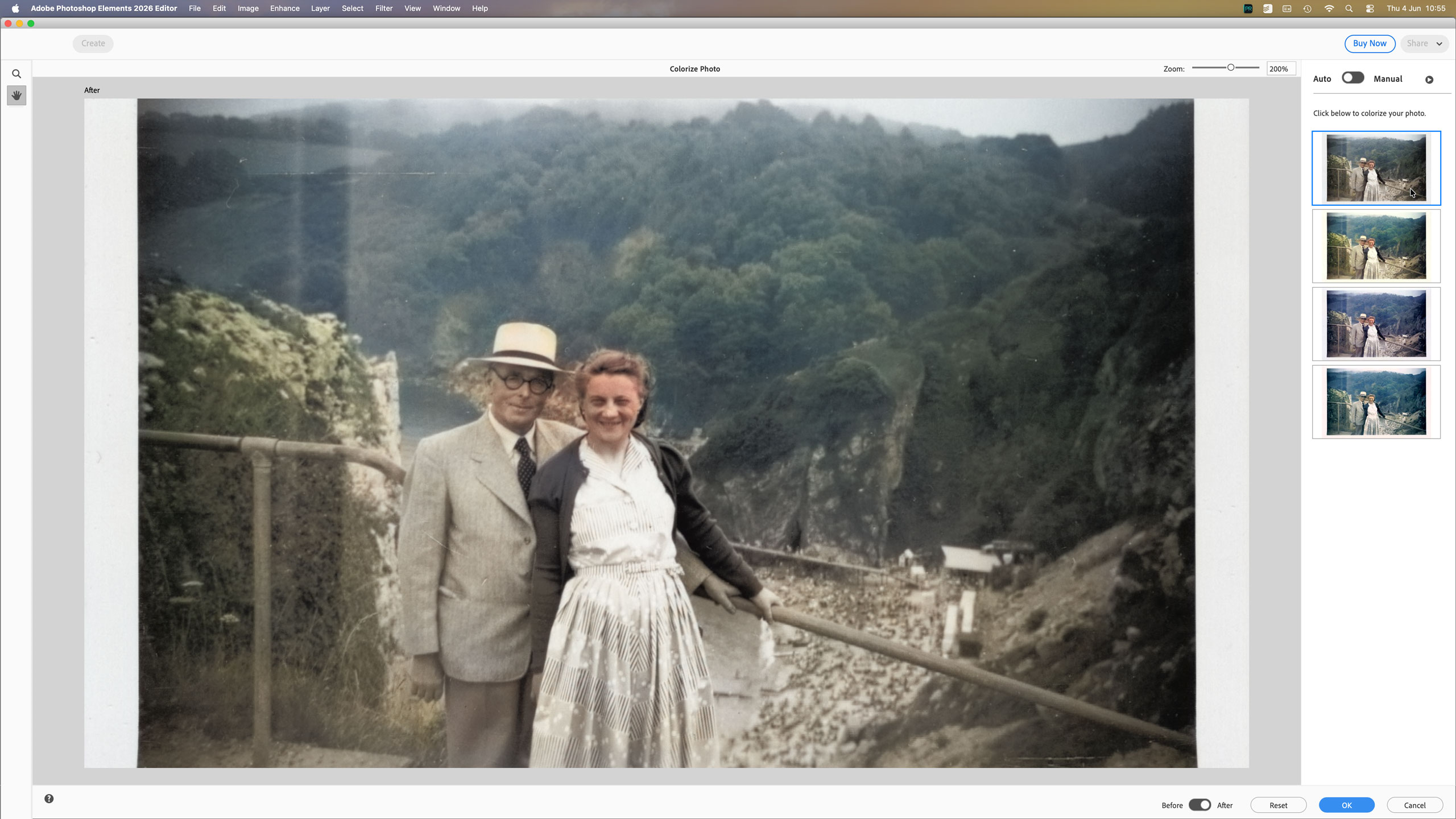 Быстрое действие Colorize в Photoshop Elements