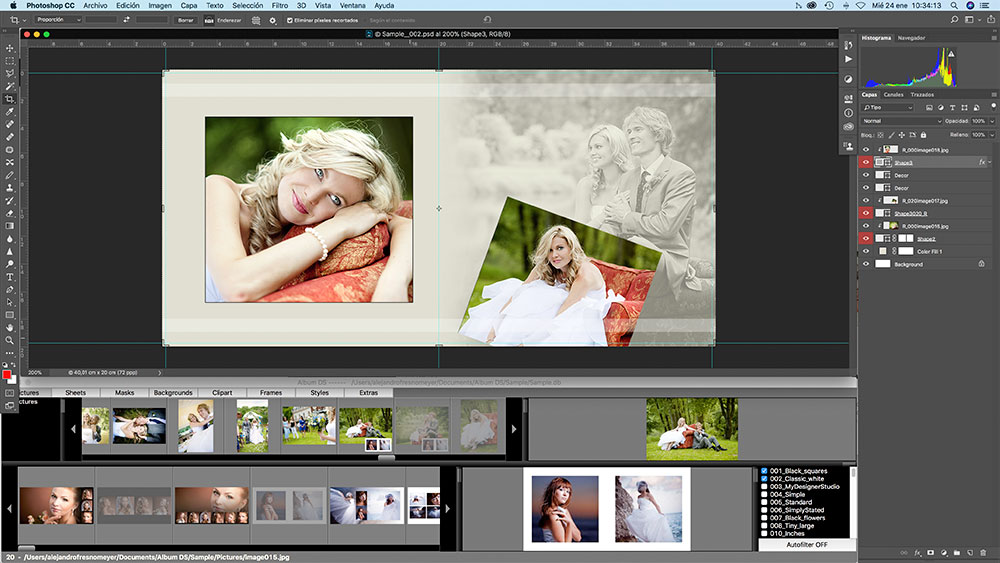 Album DS рядом с рабочей областью Photoshop