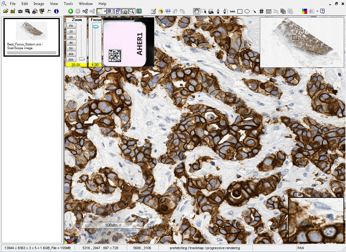 Интерфейс Aperio ImageScope