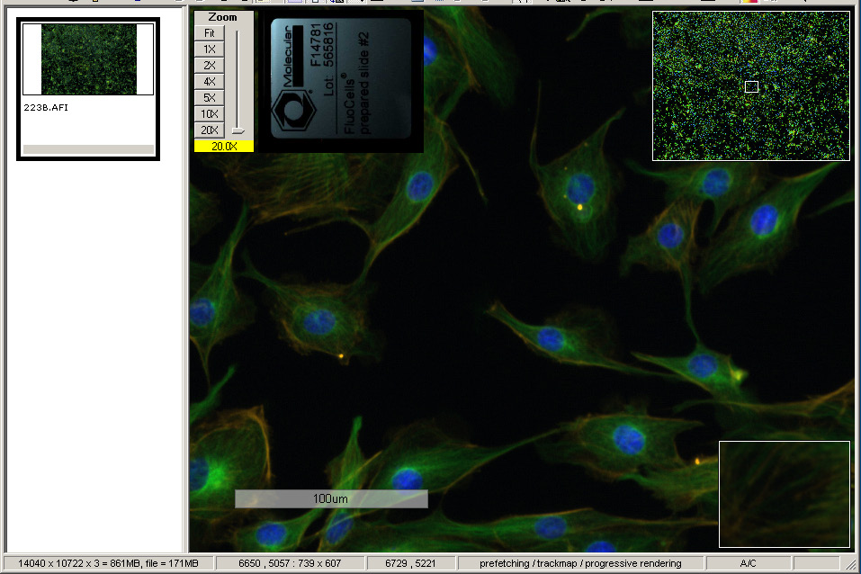 Интерфейс Aperio ImageScope
