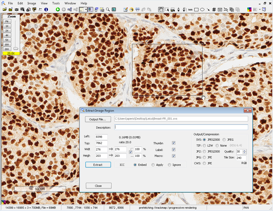 Интерфейс Aperio ImageScope