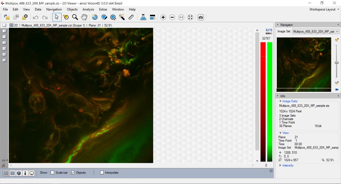 2D Viewer Arivis Vision4D с многоканальным микроскопическим изображением