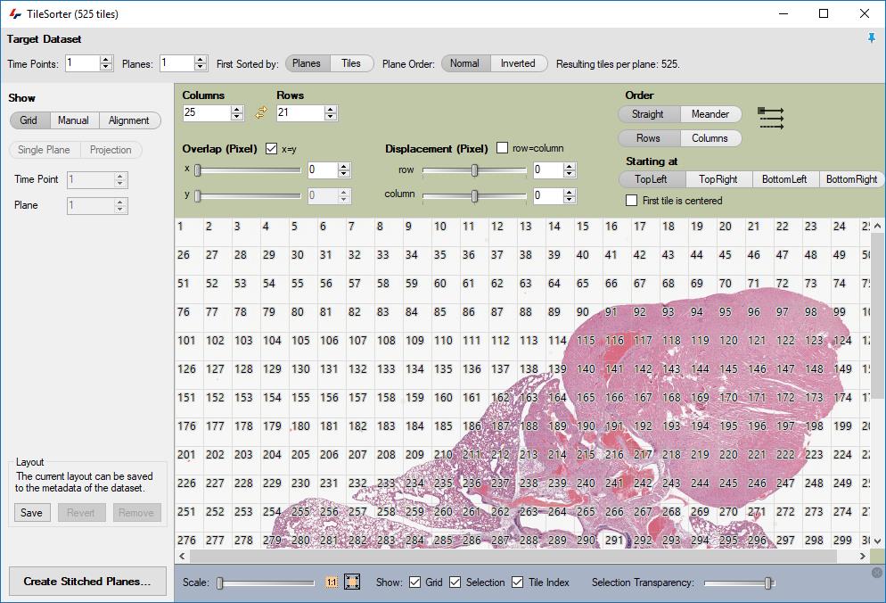 Tile Sorter Arivis Vision4D с сеткой полей микроскопической мозаики