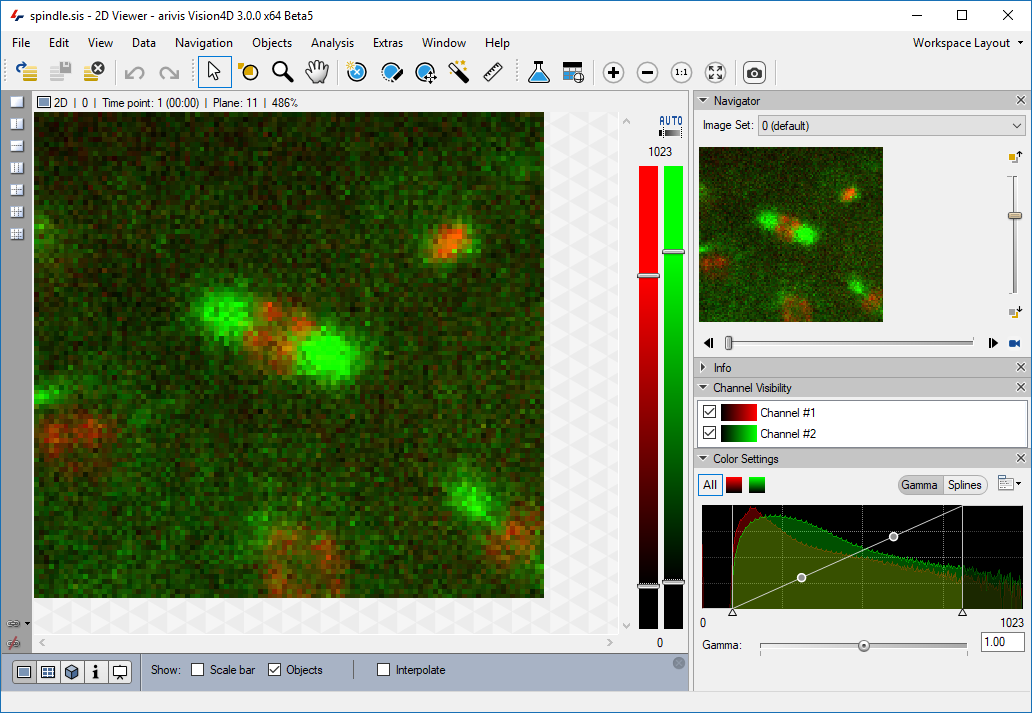 Панель Color Settings и гистограмма каналов в Arivis Vision4D