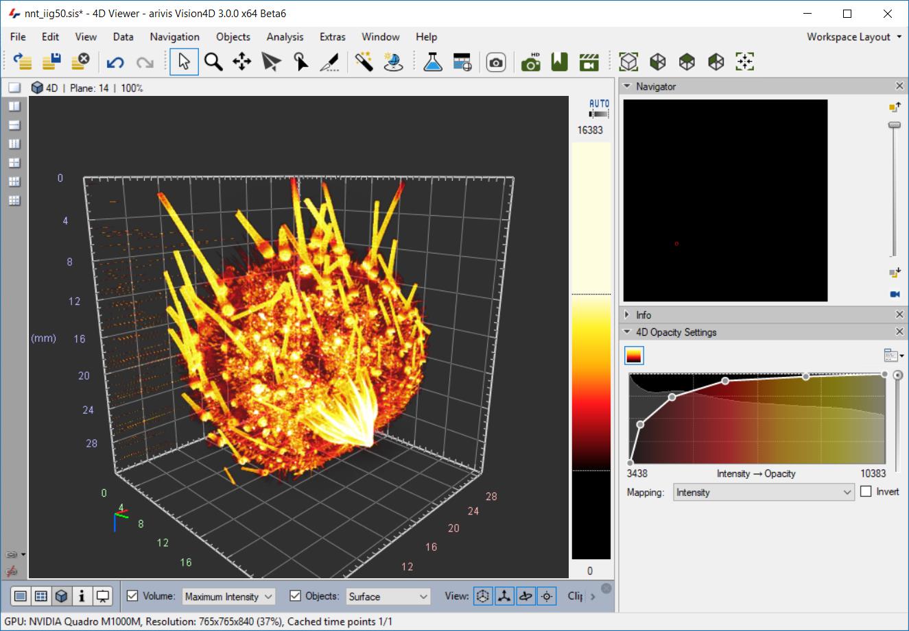 4D Viewer Arivis Vision4D с объёмным рендерингом
