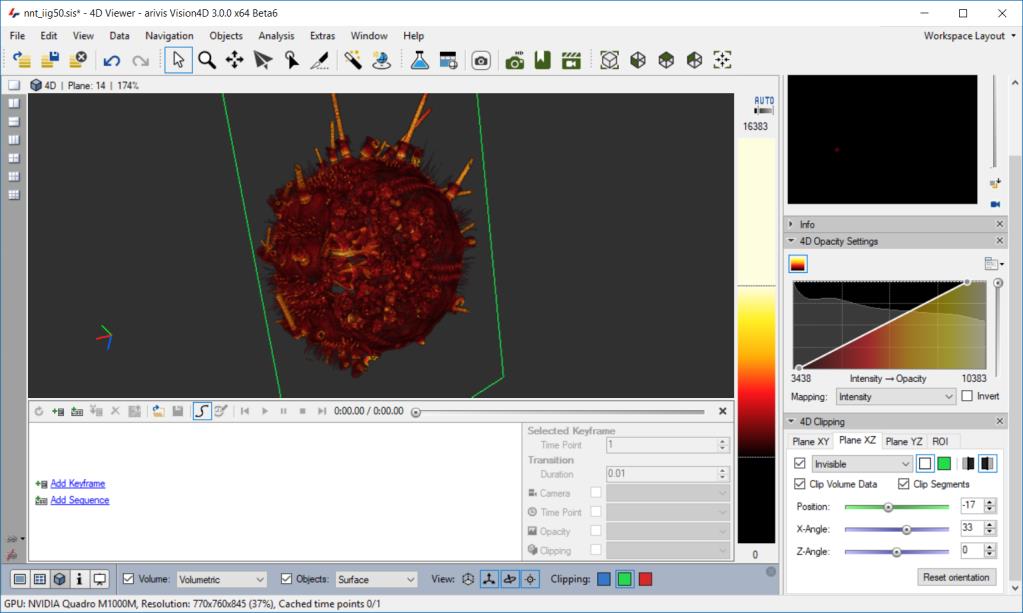 4D Viewer Arivis Vision4D с панелями рендеринга и объекта