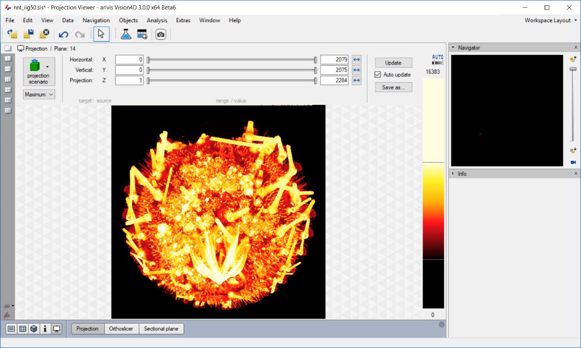 Projection Viewer Arivis Vision4D с режимами Projection, Ortho Slicer и Sectional Plane