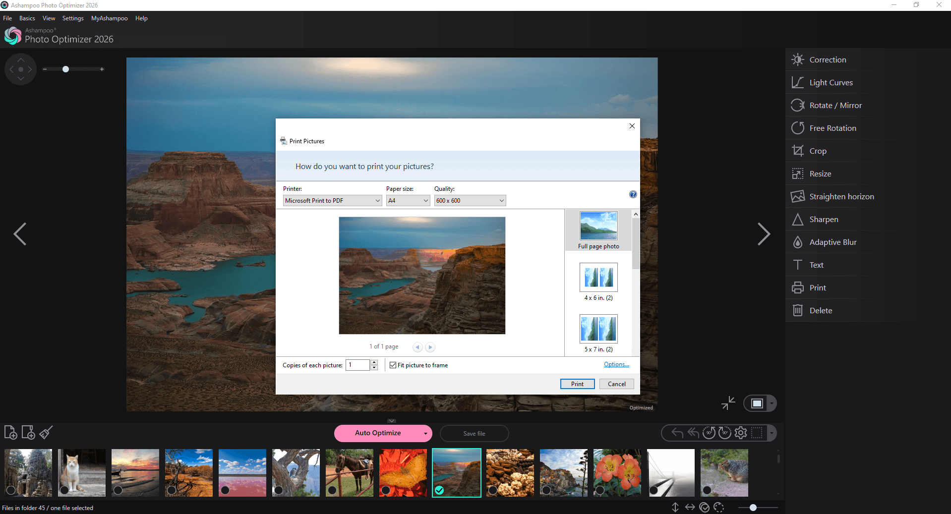 Диалог печати фотографий в Ashampoo Photo Optimizer