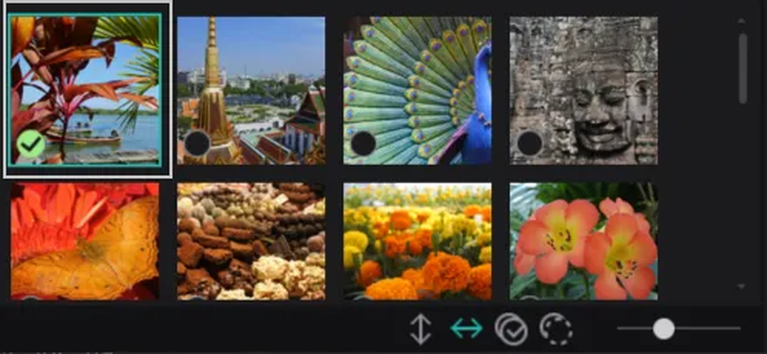 Несколько выбранных фотографий в Ashampoo Photo Optimizer