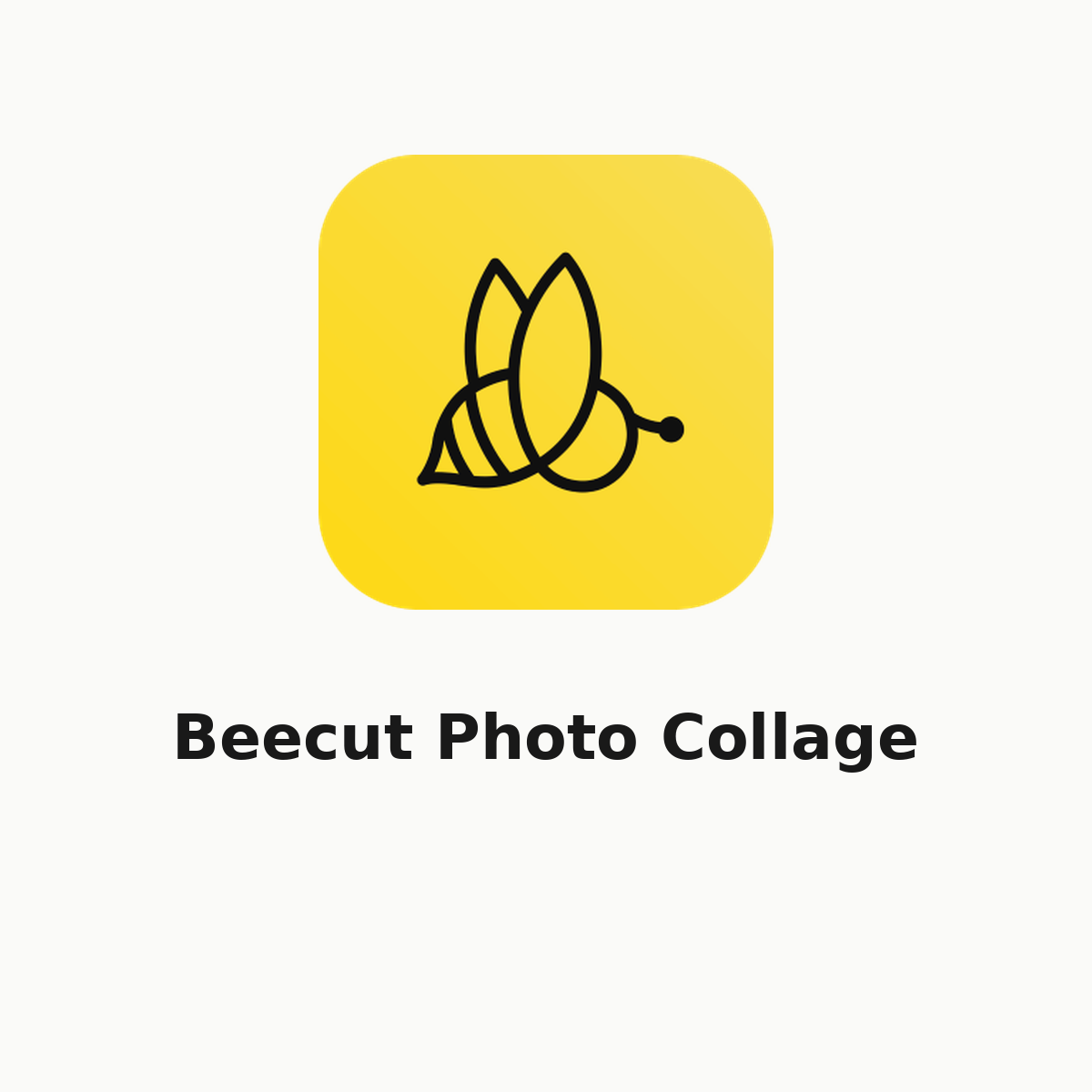 Beecut Photo Collage