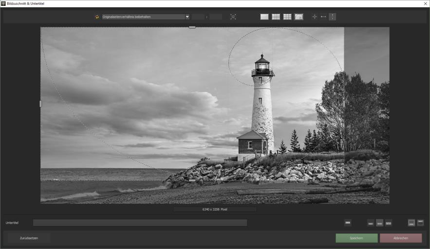 Окно кадрирования и сохранения Black & White Projects