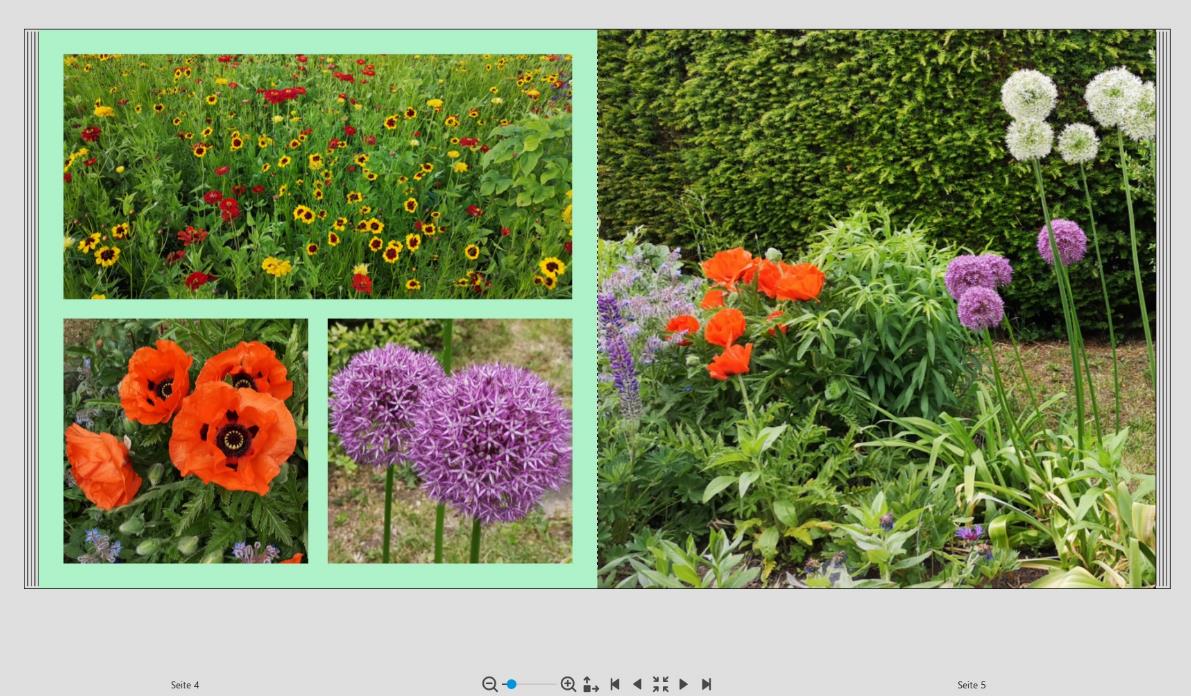 Предпросмотр разворота фотокниги