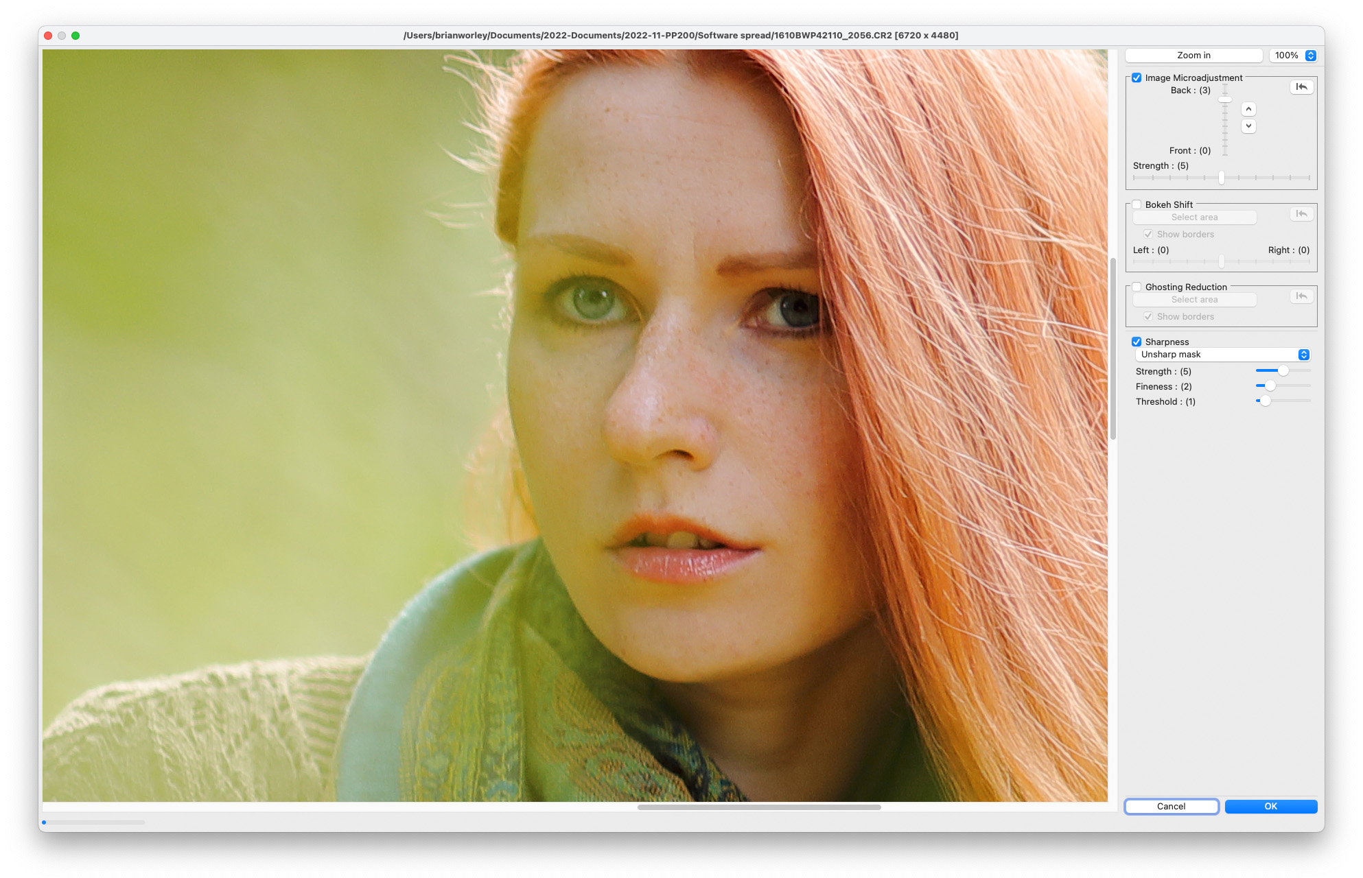 Dual Pixel RAW Optimizer в Canon Digital Photo Professional