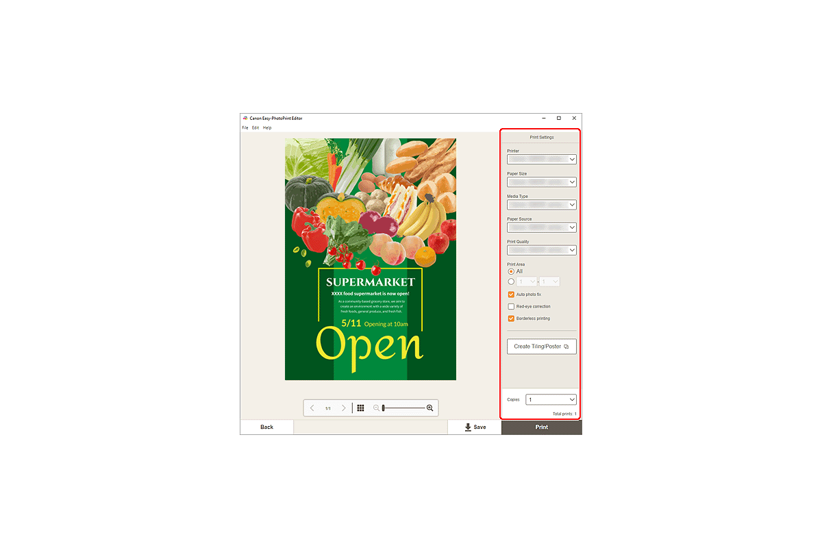 Окно Print Settings для постера