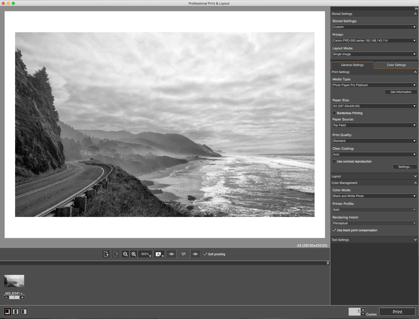 Чёрно-белое изображение в Canon Professional Print & Layout с soft proof