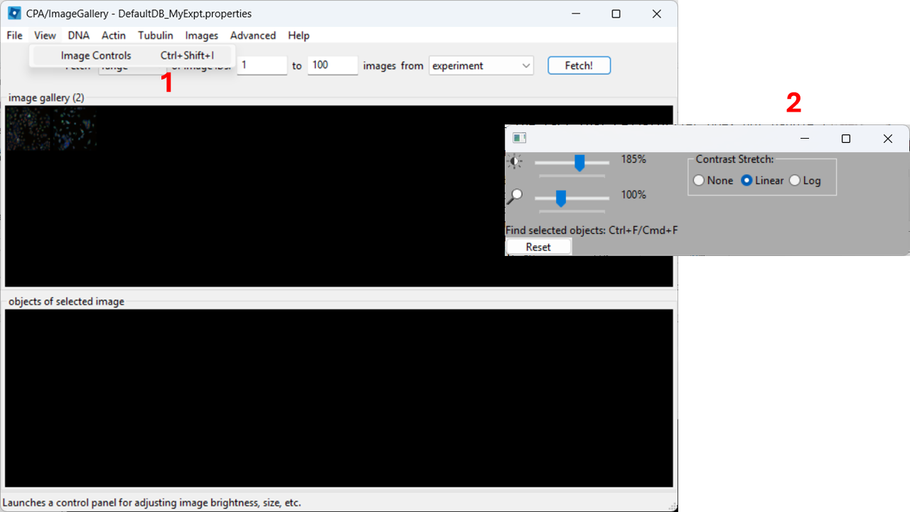 Панель Image Controls для яркости контраста и масштаба