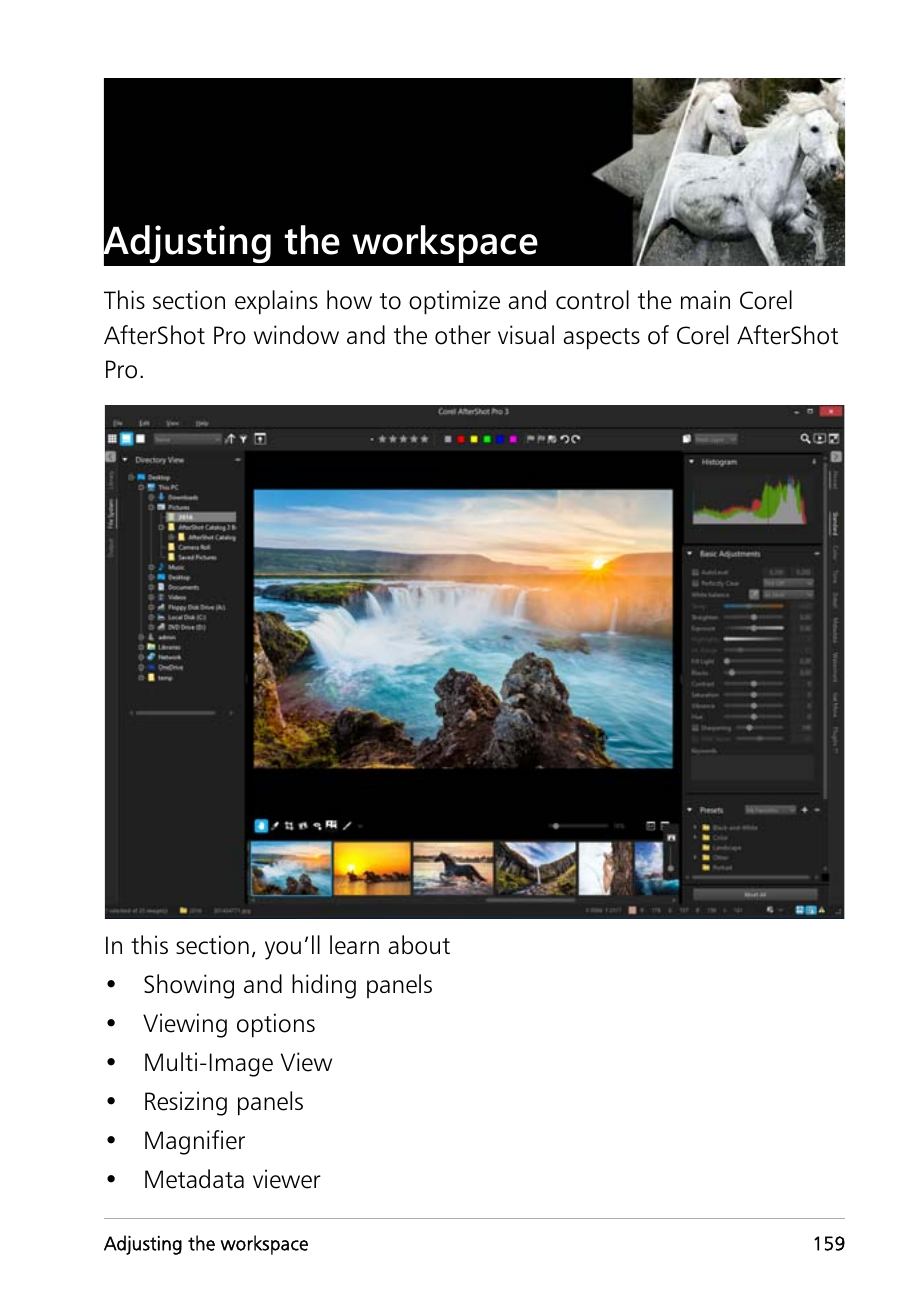 Настройка рабочего пространства Corel AfterShot Pro