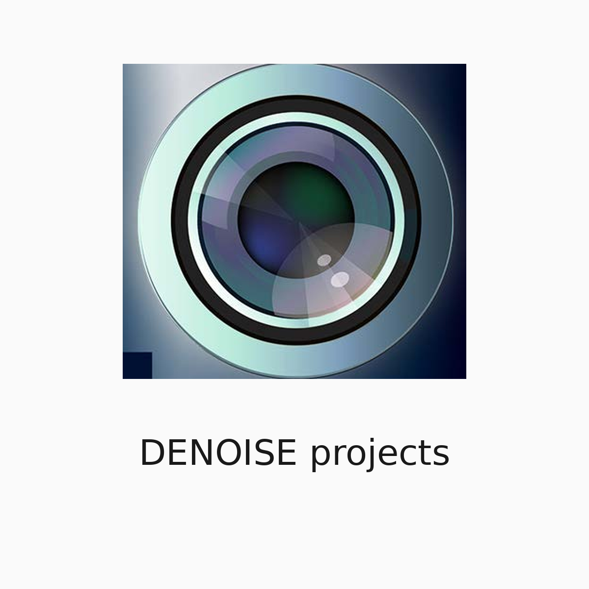 DENOISE projects