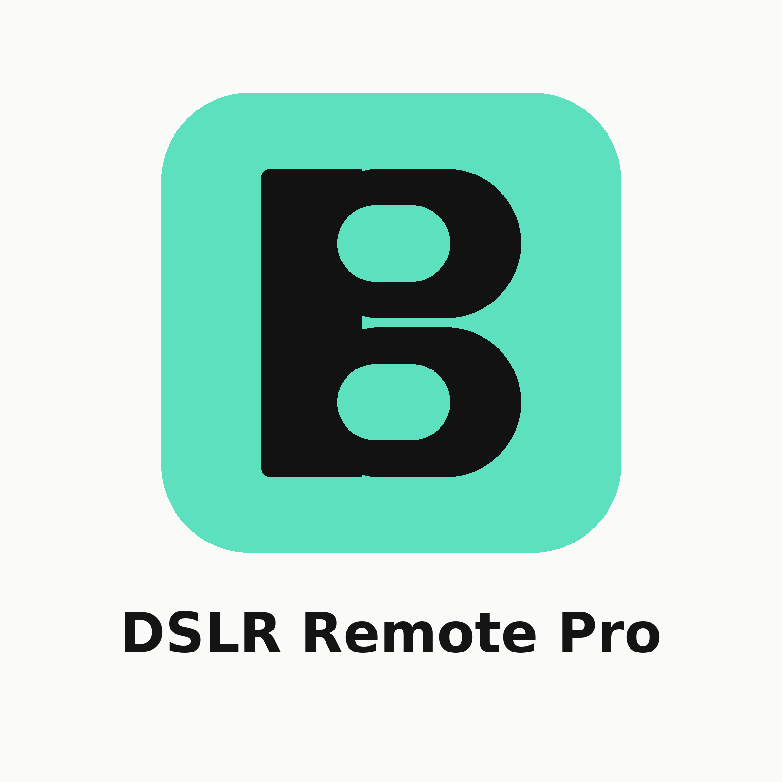 DSLR Remote Pro