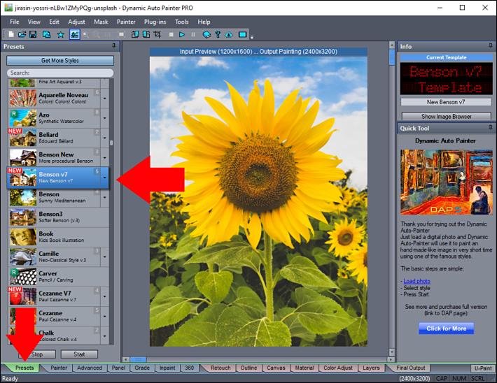 Панель пресетов и исходное изображение Dynamic Auto Painter