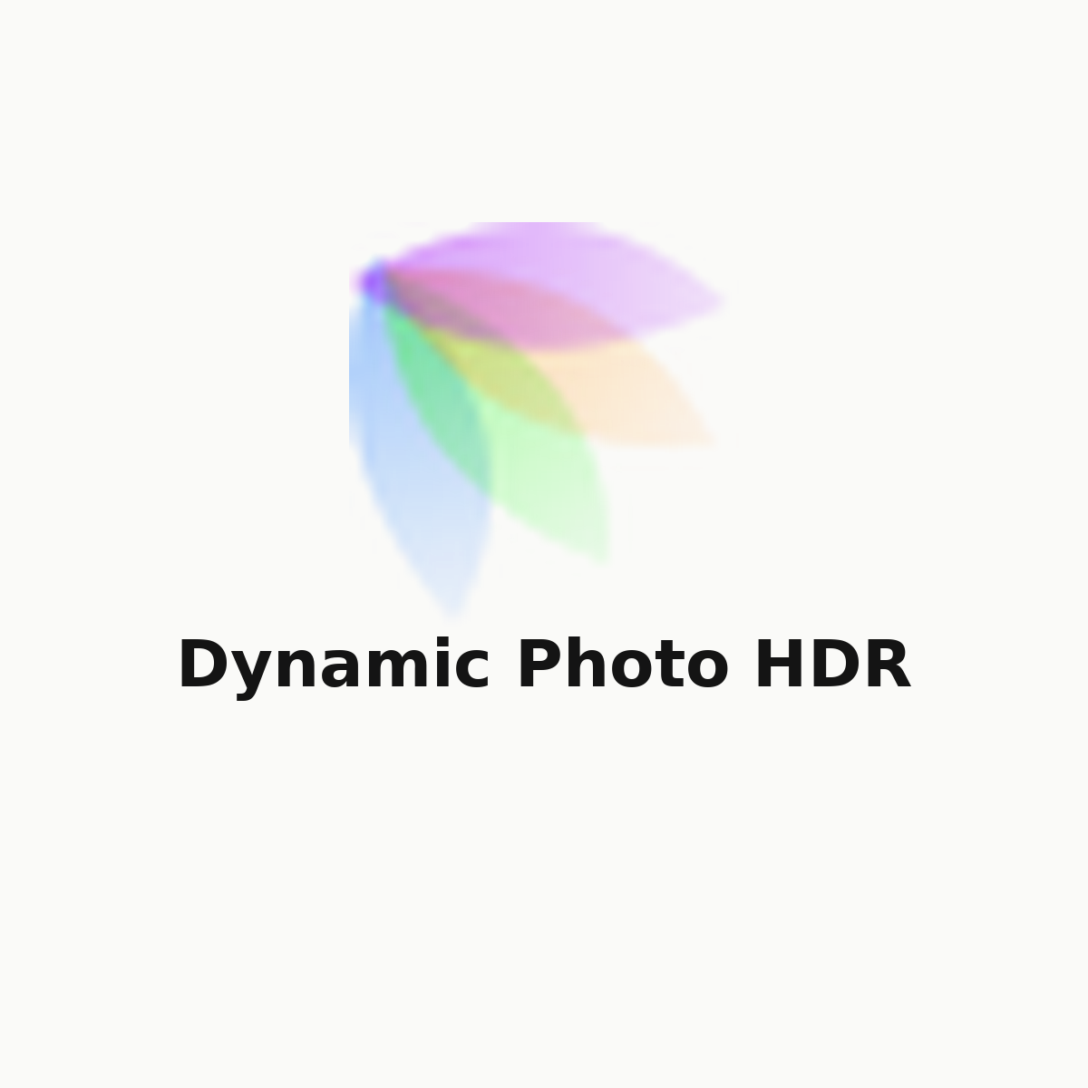Dynamic Photo HDR