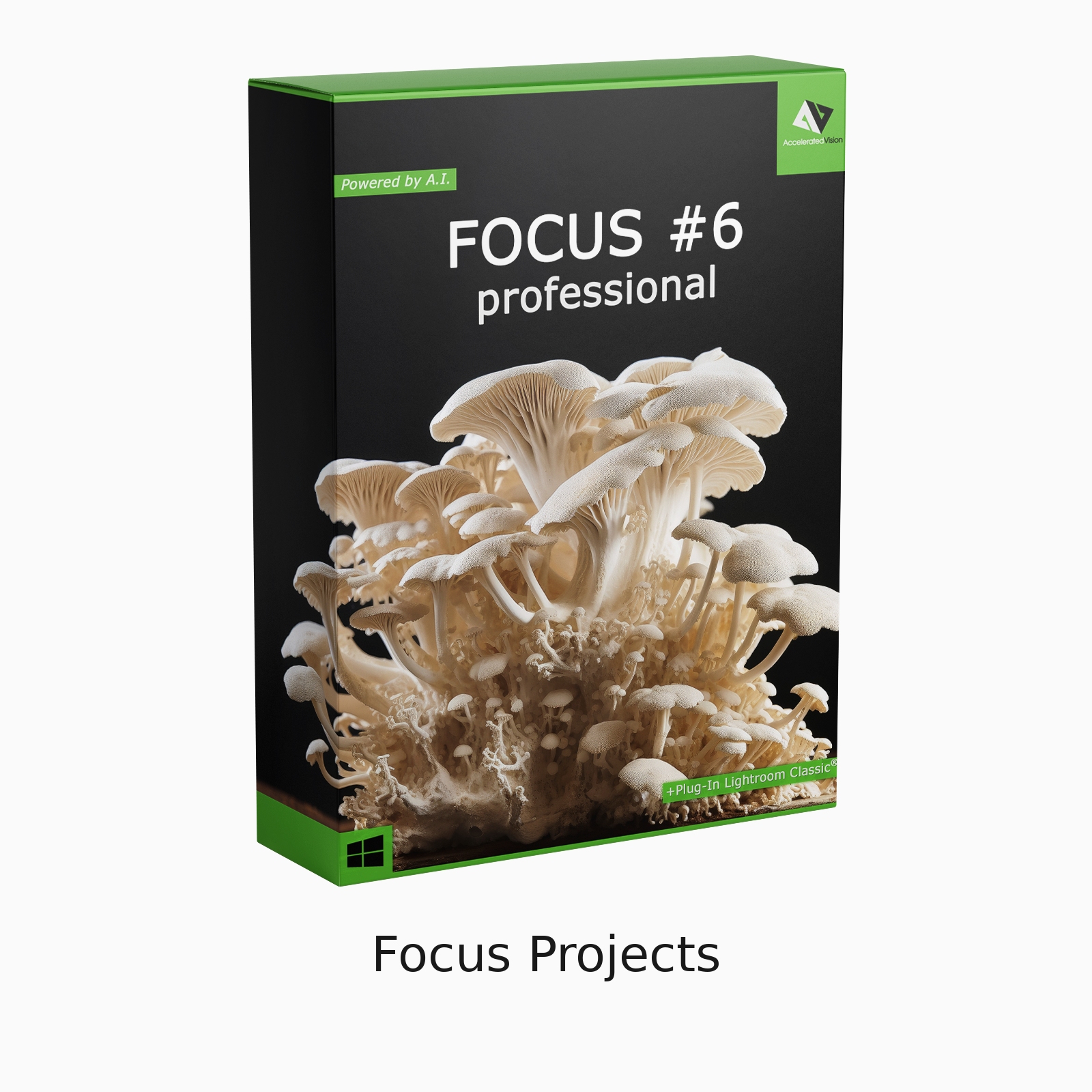 Focus Projects