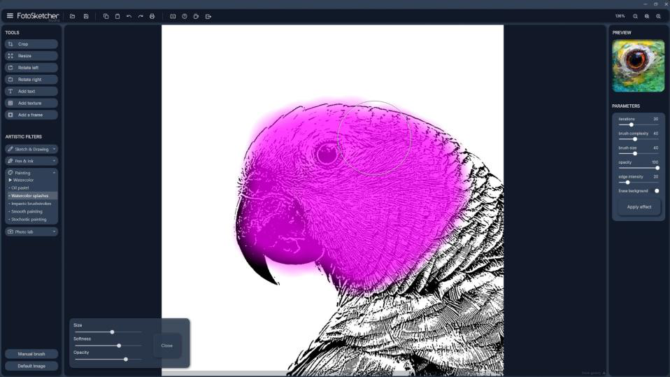 Маска ручной кисти FotoSketcher перед расчётом эффекта