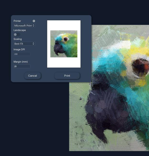 Диалог печати FotoSketcher с масштабированием и предварительным просмотром