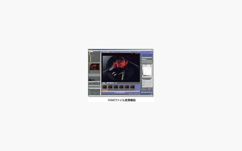 RAW FILE CONVERTER в Hyper-Utility3 для поддерживаемого FinePix S5 Pro