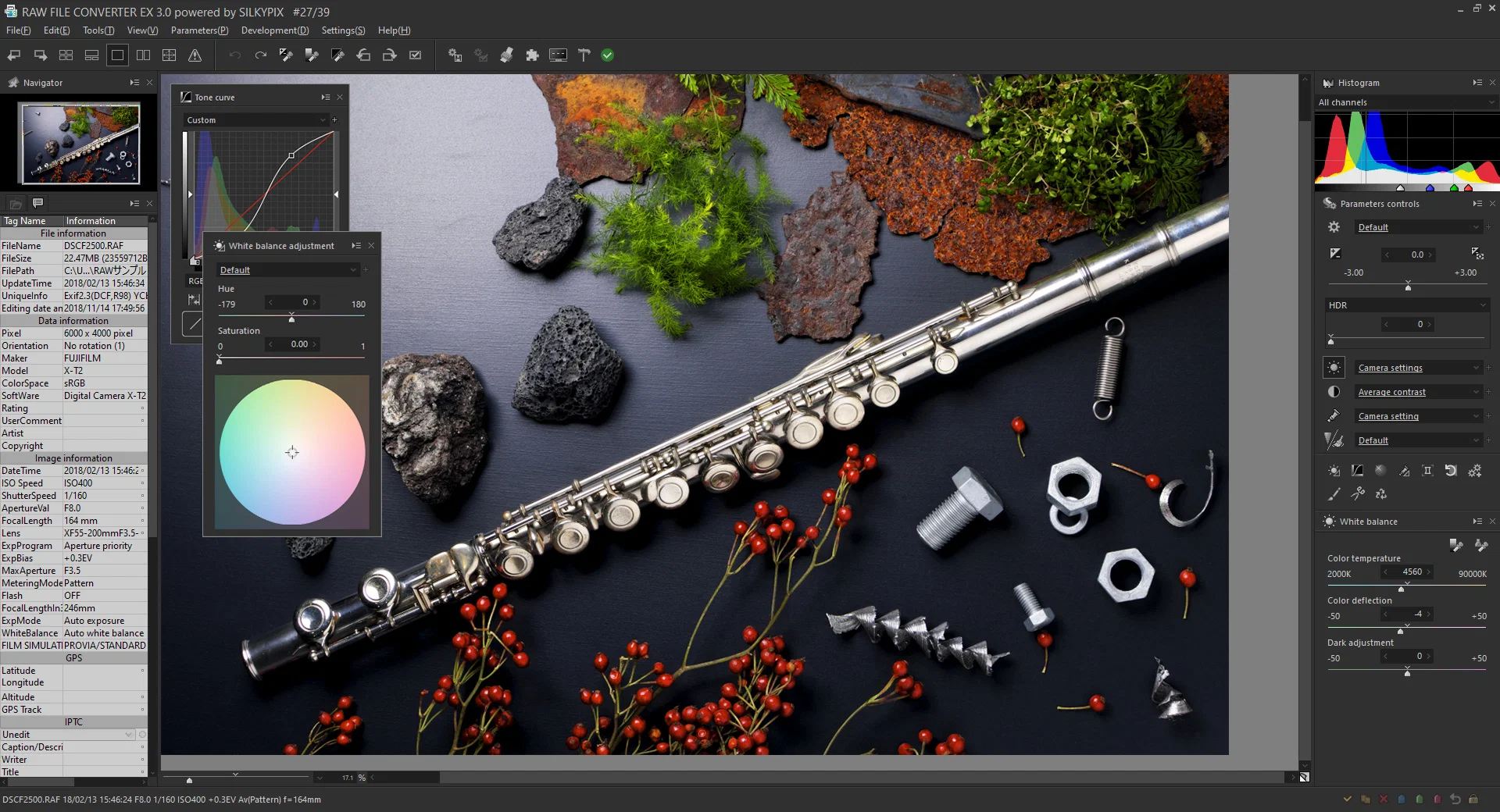 Окно Fujifilm RAW File Converter EX с предпросмотром и панелями параметров