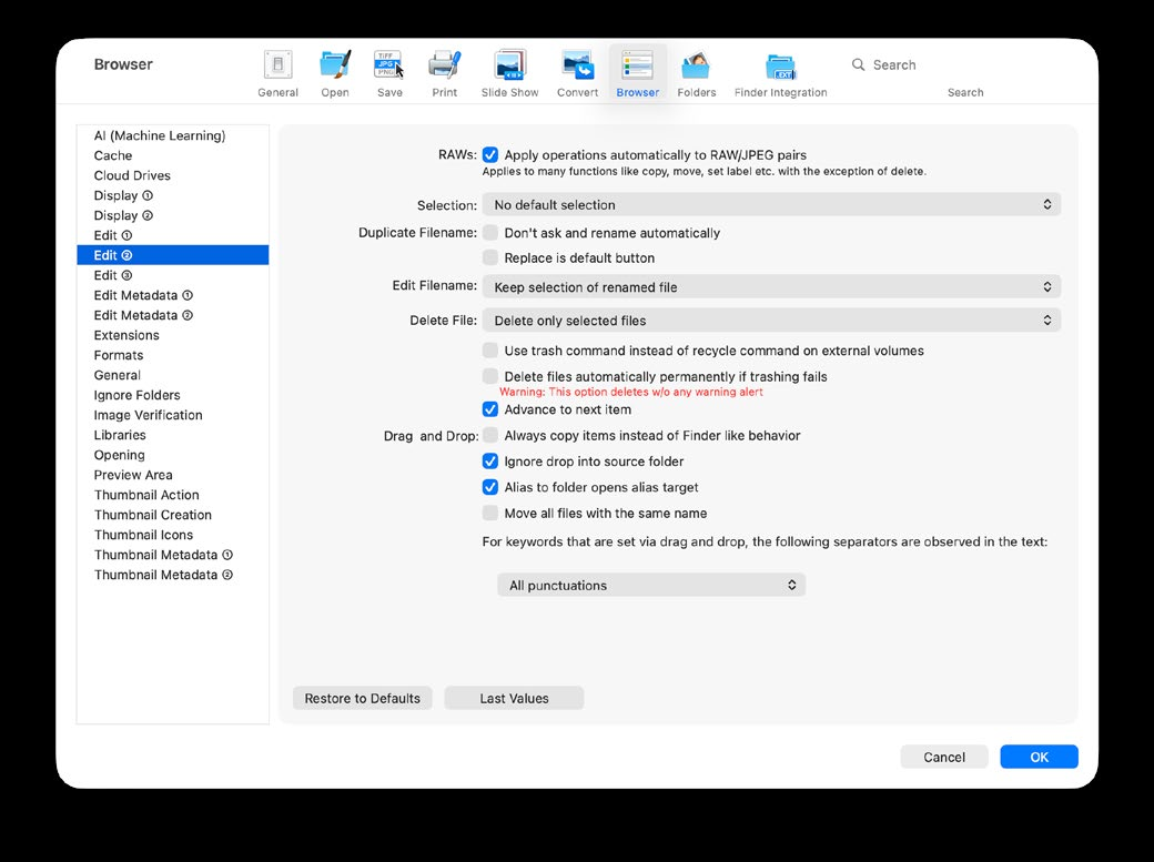 Настройки обработки пар RAW и JPEG в браузере GraphicConverter