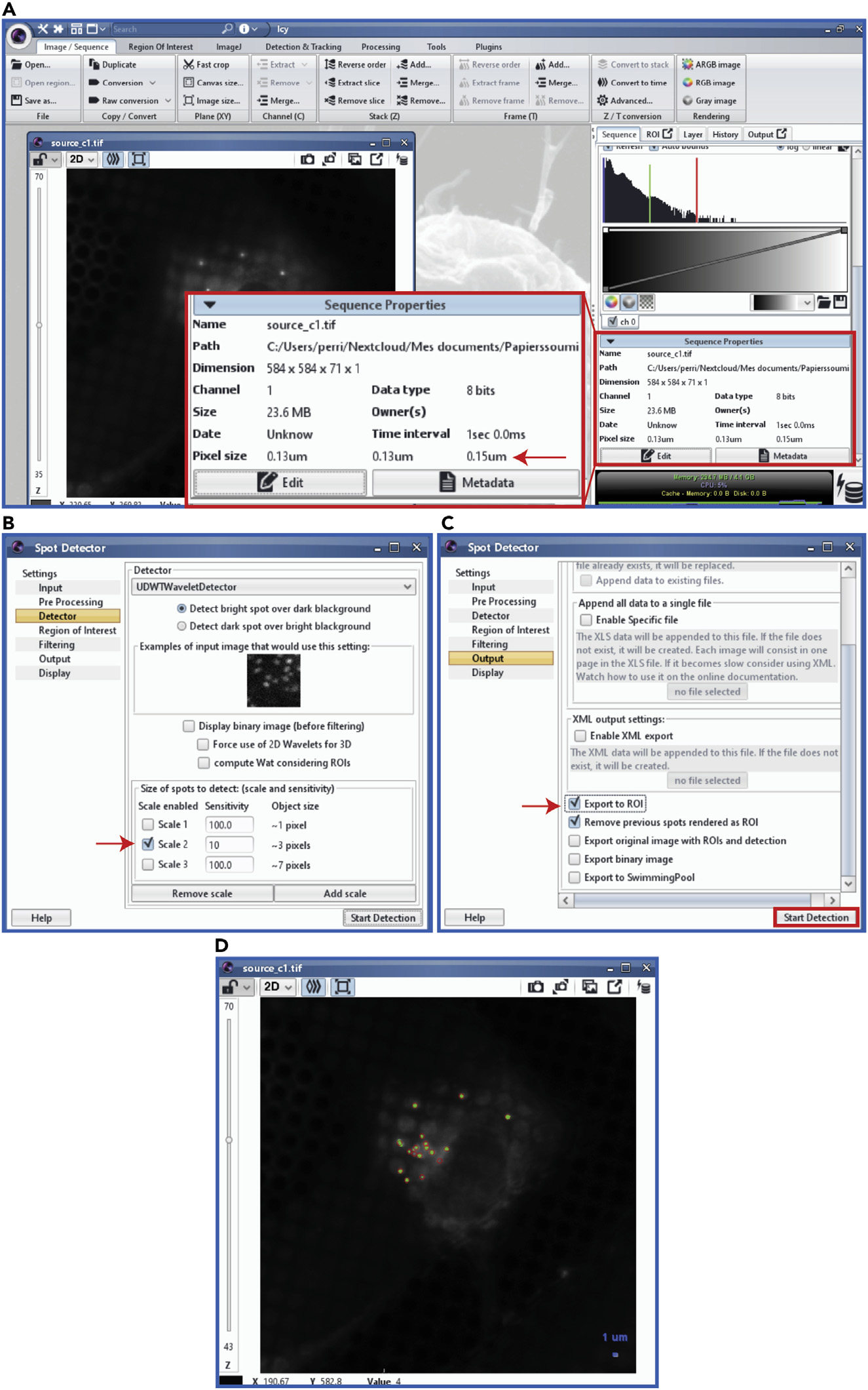 Панели Detector и Output в ICY Spot Detector